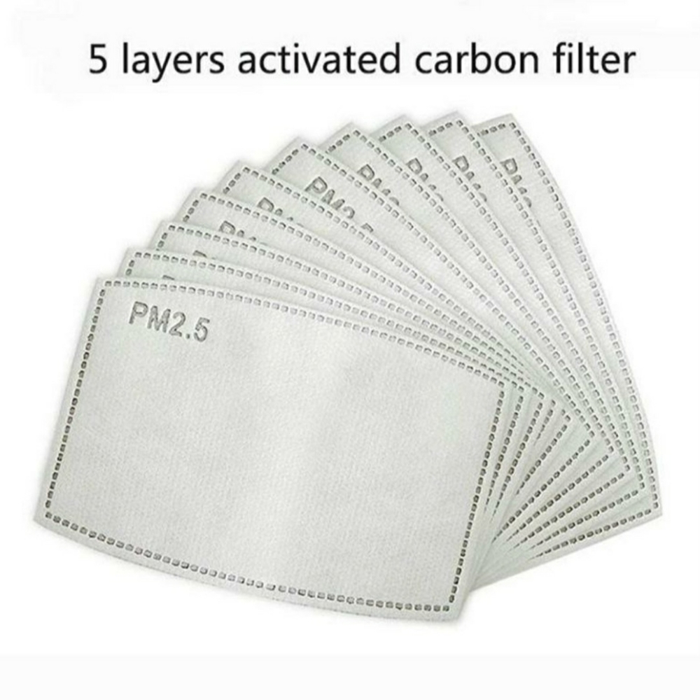 10 X PM2.5 Activated Carbon Filters